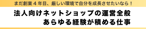 法人向けネットショップの運営全般、あらゆる経験が積める仕事。まだ創業4年目、厳しい環境で自分を成長させたいなら！